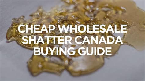 Top Shatter Strains Available: Finest Extracts in the Cannabis World