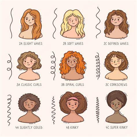 Curly hair chart | Tipos de cabelos cacheados, Desenho de cabelo encaracolado, Penteados naturais