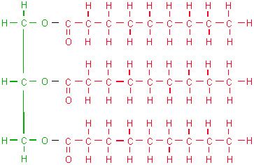 Biomacromolecules - 5-M. Charlene Biology Portfolio