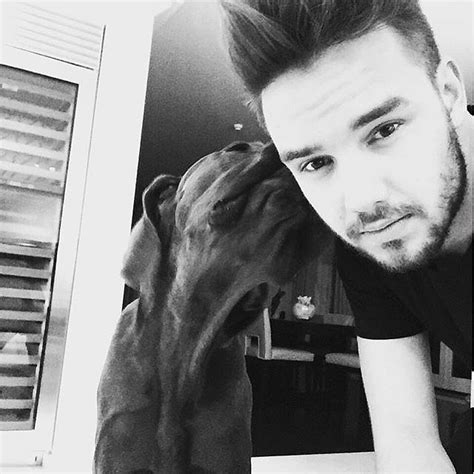 Liam Payne's Dog Watson | POPSUGAR Pets