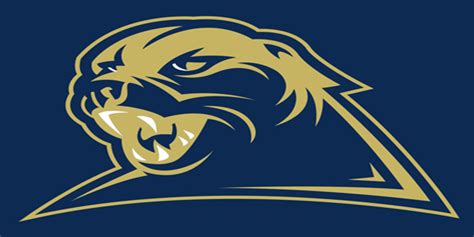 🔥 [50+] Pitt Panthers iPhone Wallpapers | WallpaperSafari