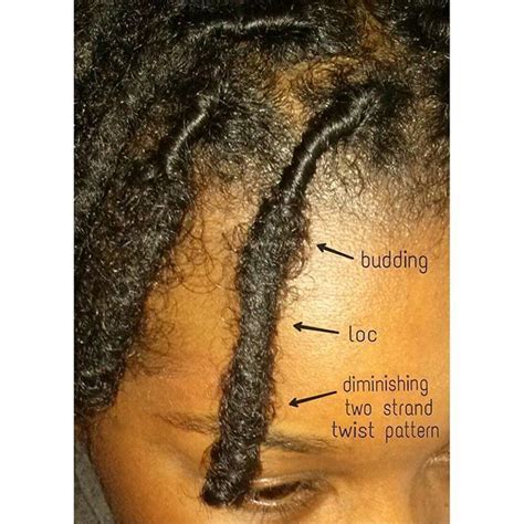 These are the stages your locs grow in! What stage are you in? | Short ...