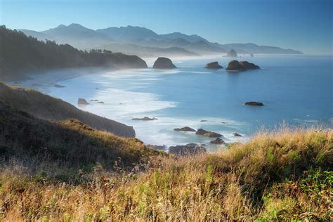 Summer Morning in Ecola State Park Photograph by Kristen Wilkinson - Fine Art America