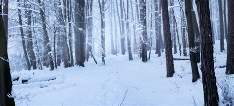 Winter in Bavaria :: Behance