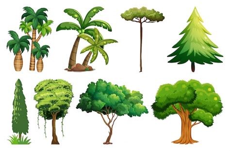 Free Vector | Set of variety plants and trees