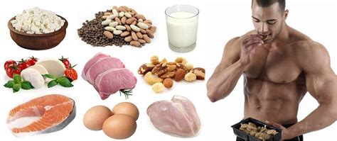 The Best Sources Of Protein For Building Muscles • Bodybuilding Wizard