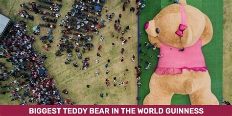 Biggest Teddy Bear in the World Guinness