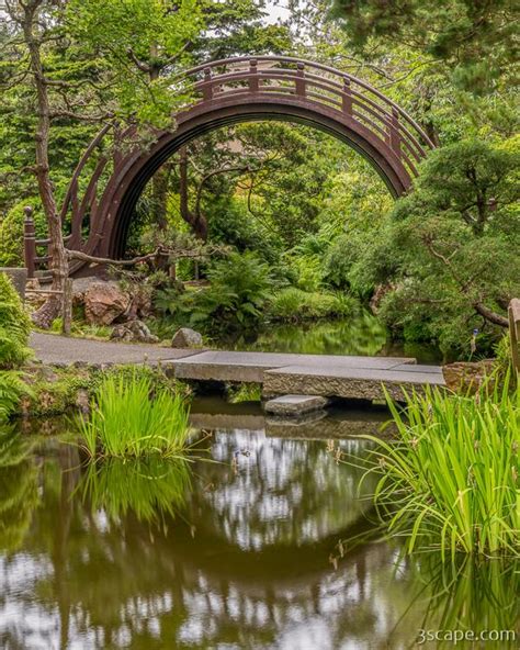 Moon Bridge - Japanese Tea Garden, San Francisco, California - 3scape ...