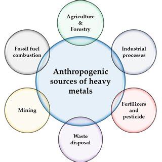 (PDF) Heavy Metals and Pesticides Toxicity in Agricultural Soil and Plants: Ecological Risks and ...