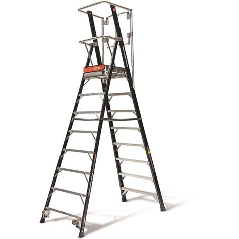 Little Giant Ladders Safety Cage 7.6-ft Fiberglass Type 1AA - 375 lbs ...