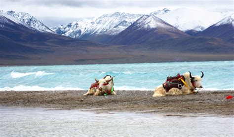 Namtso Lake Tibet - Tours and Travel Guide