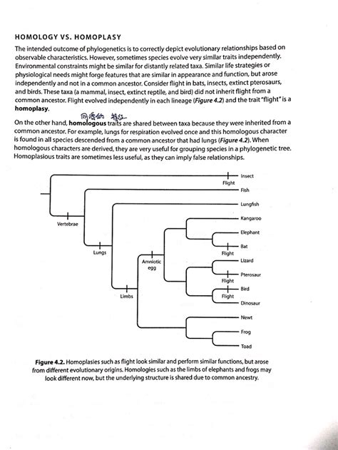 Solved: HOMOLOGY VS. HOMOPLASY The Intended Outcome Of Phy... | Chegg.com