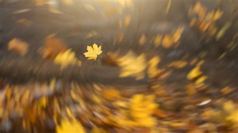 Why a Howling Wind Sounds So Spooky, According to Science | Mental Floss