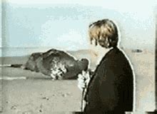 Beached Whale Explosion Gif