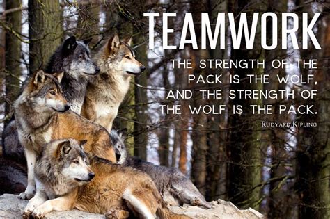The Strength Of The Pack Is The Wolf And The Strength Of The Wolf Is The Pack - Rudyard Kipling ...