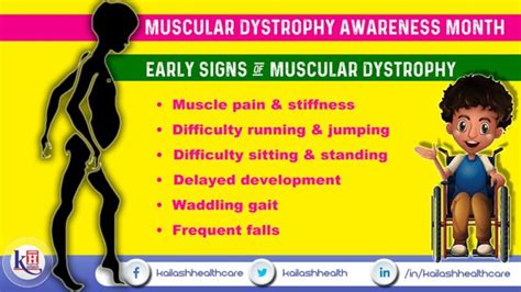 Muscular dystrophy is a group of diseases causing progressive weekness & loss of muscle mass in ...