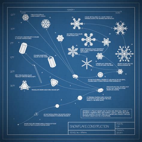 Snowflake Morphology - Distance Learning