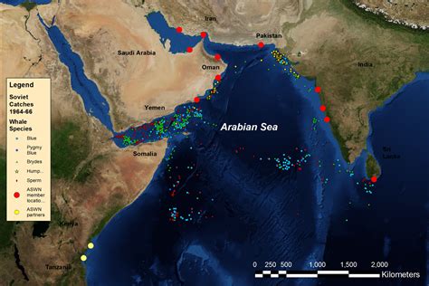 Indus River Canyon designated as Arabian Sea’s largest MPA - Arabian ...