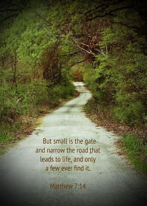 (Matthew 7:14) But small is the gate and narrow the road that leads to life, and only a few find ...