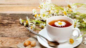 Side Effects of chamomile tea | Public Health