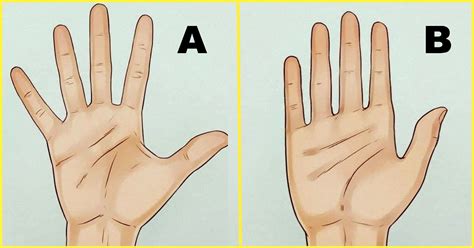 Scientists Reveal How Shape Of Their Hands Tell About A Person’s Character - Genmice