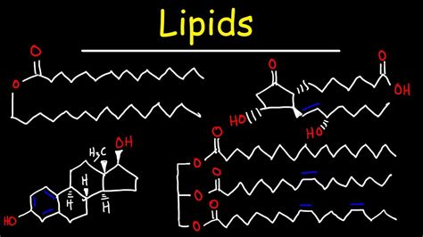 What Is The Basic Molecular Structure Of Lipids | Sitelip.org