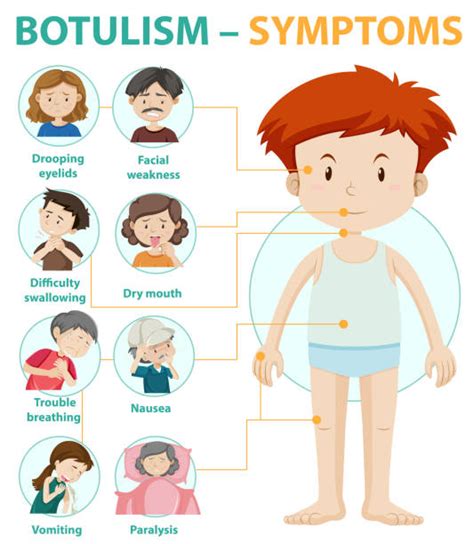 Clostridium Botulinum Illustrations, Royalty-Free Vector Graphics ...