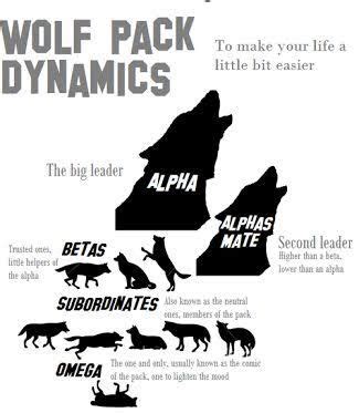 Image result for wolf pack hierarchy | Grijze wolven, Weerwolf, Schrijftips