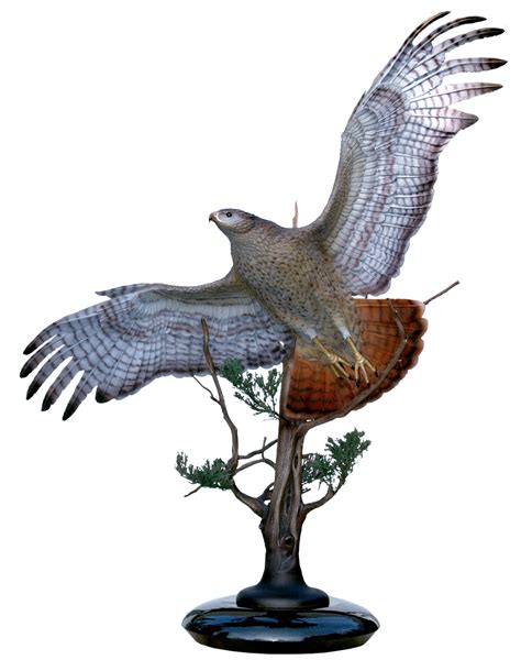 Sovereign Skies | Bronze Red Tailed Hawk Sculpture