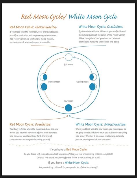 Image result for red moon menstrual cycles | Red moon cycle, Moon cycles, Full moon