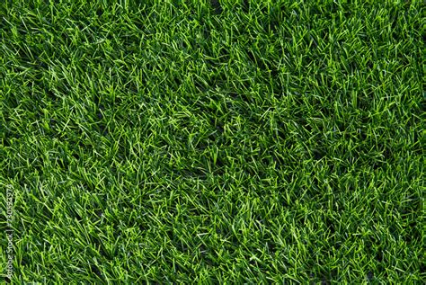 Artificial green grass texture background top view. Stock Photo | Adobe Stock