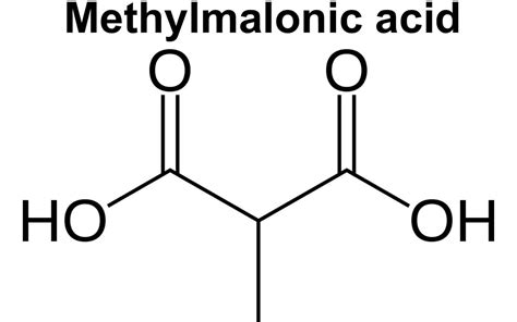 Methylmalonic acid function, test, causes of high methylmalonic acid