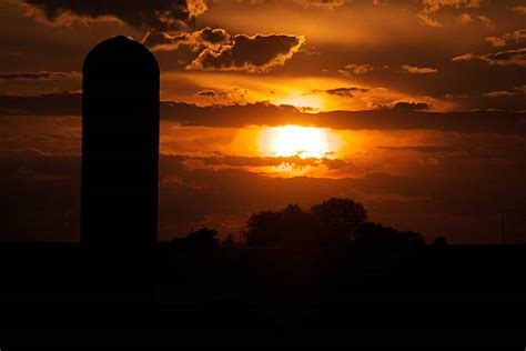 60+ Iowa Cornfield Sunset Stock Photos, Pictures & Royalty-Free Images ...