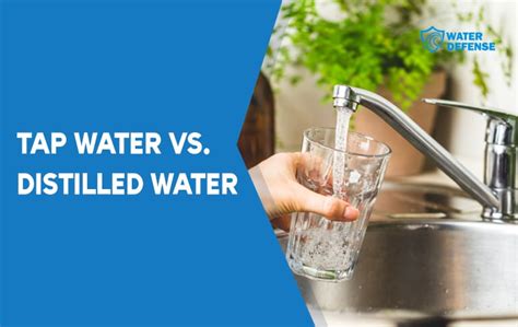 Tap Water vs Distilled Water - Differences & Comparison