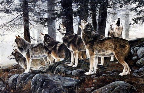 Artist Andrew Unframed Wildlife Wolf Pack Art Print Kiss Primal Song | WildlifePrints.com