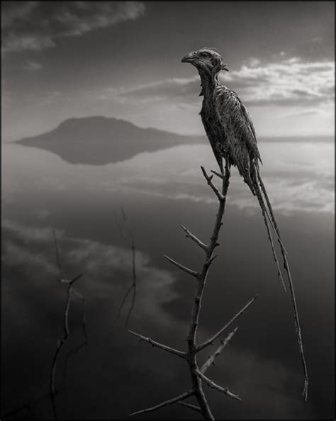 Lake Natron - The Eerie Lake in Africa That Turns Animals Into Stone