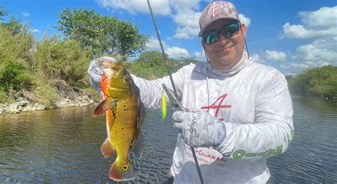 Your Guide to Catching South Florida Peacock Bass