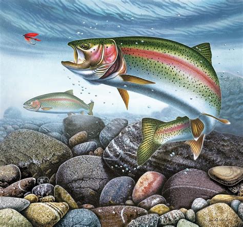 Perfect Drift Rainbow Trout Painting - Perfect Drift Rainbow Trout Fine Art Print | Trout art ...