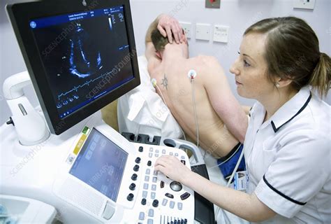 Heart ultrasound - Stock Image - C021/8812 - Science Photo Library