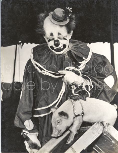 Loomis Dean Photography Vintage Editorial Stock Photos RINGLING CIRCUS CLOWN AND PIG