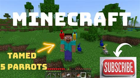 Mastering Parrot Taming in Minecraft: Expert Strategies Revealed - YouTube