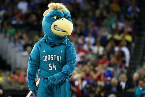 Coastal Carolina Chanticleers: 5 Fast Facts