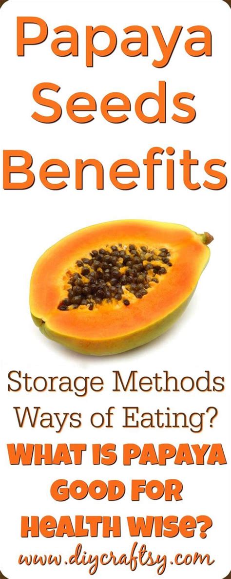 Papaya Seeds Benefits, Storage Methods, Ways of Eating - DIY & Crafts