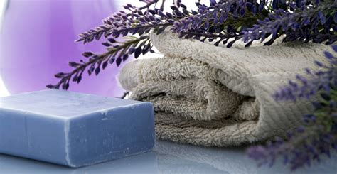 lavender-bath opt | Life's Dirty. Clean Easy.