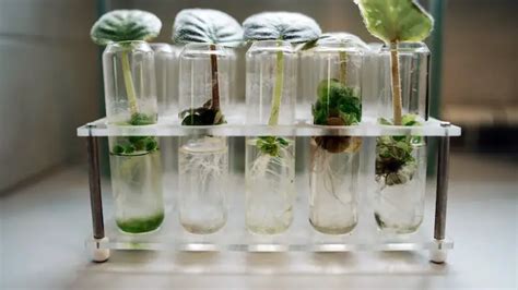 What is Environmental Biotechnology: Meaning, Scopes & Applications ...