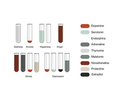 How hormones affect our mood? – Temporal Matters