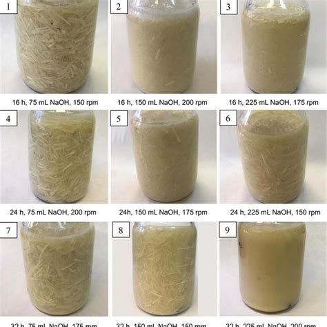 Scanning electron microscope images of chicken feathers: a Untreated... | Download Scientific ...