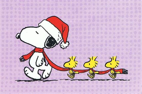 Snoopy & Woodstock Christmas