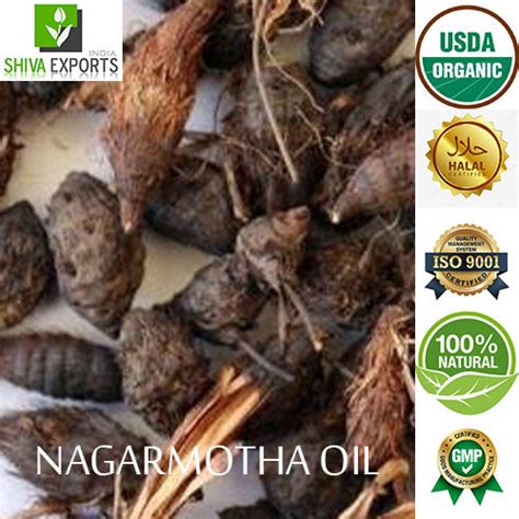 Nagarmotha Oil - Buy Cypriol Oil – Shiva Exports India