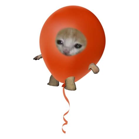 The Red Balloon Cat 🎈 | Милые котики, Котята, Кошачьи фотографии